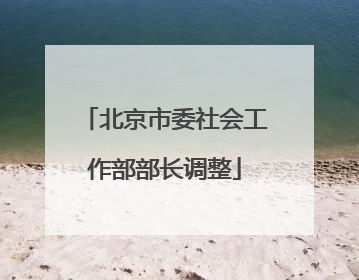 北京市委社会工作部部长调整