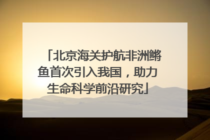 北京海关护航非洲鳉鱼首次引入我国，助力生命科学前沿研究