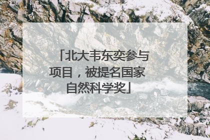 北大韦东奕参与项目，被提名国家自然科学奖