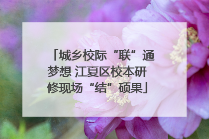 城乡校际“联”通梦想 江夏区校本研修现场“结”硕果