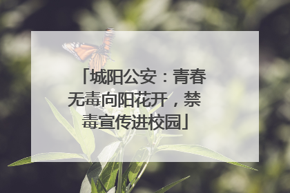 城阳公安：青春无毒向阳花开，禁毒宣传进校园