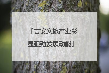 吉安文旅产业彰显强劲发展动能