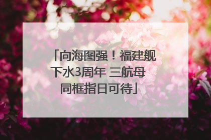 向海图强！福建舰下水3周年 三航母同框指日可待