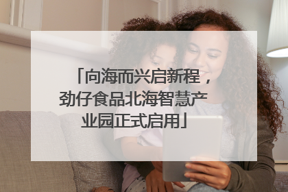 向海而兴启新程，劲仔食品北海智慧产业园正式启用