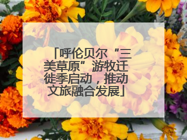 呼伦贝尔“三美草原”游牧迁徙季启动，推动文旅融合发展