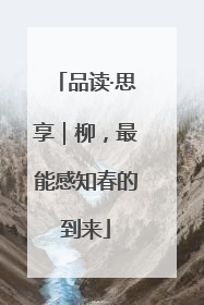 品读·思享｜柳，最能感知春的到来