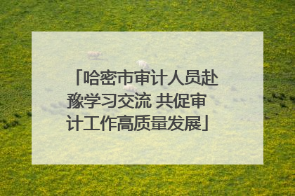 哈密市审计人员赴豫学习交流 共促审计工作高质量发展