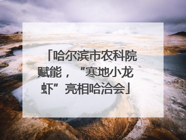 哈尔滨市农科院赋能，“寒地小龙虾”亮相哈洽会