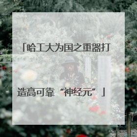 哈工大为国之重器打造高可靠“神经元”
