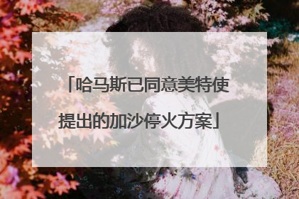 哈马斯已同意美特使提出的加沙停火方案