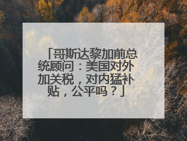 哥斯达黎加前总统顾问：美国对外加关税，对内猛补贴，公平吗？