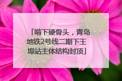 啃下硬骨头，青岛地铁2号线二期下王埠站主体结构封顶