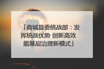 商城县委统战部：发挥统战优势 创新高效能基层治理新模式