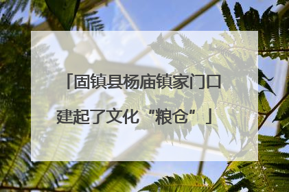 固镇县杨庙镇家门口建起了文化“粮仓”