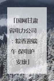 国网甘肃省电力公司：粽香迎端午 保电护安康