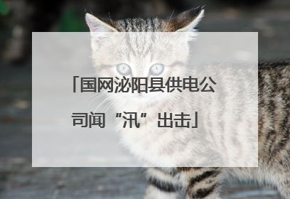 国网泌阳县供电公司闻“汛”出击