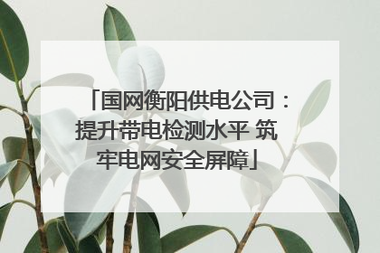 国网衡阳供电公司：提升带电检测水平 筑牢电网安全屏障