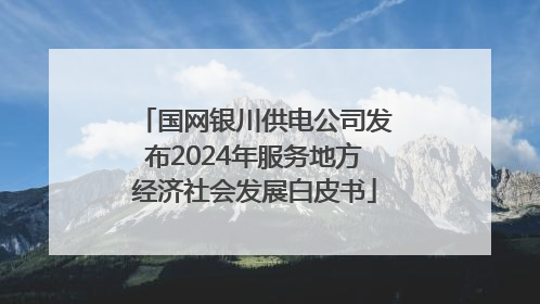 国网银川供电公司发布2024年服务地方经济社会发展白皮书