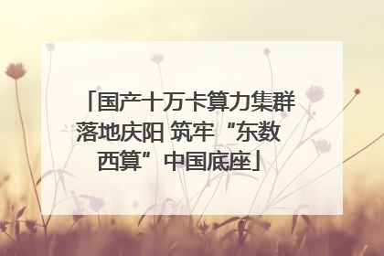 国产十万卡算力集群落地庆阳 筑牢“东数西算”中国底座