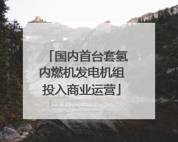 国内首台套氢内燃机发电机组投入商业运营