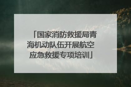 国家消防救援局青海机动队伍开展航空应急救援专项培训