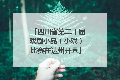 四川省第二十届戏剧小品（小戏）比赛在达州开幕