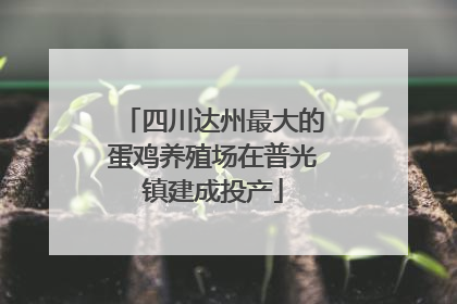 四川达州最大的蛋鸡养殖场在普光镇建成投产