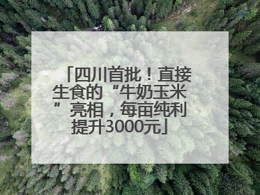 四川首批！直接生食的“牛奶玉米”亮相，每亩纯利提升3000元
