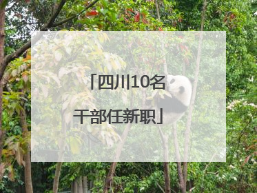 四川10名干部任新职
