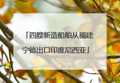 四艘新造船舶从福建宁德出口印度尼西亚