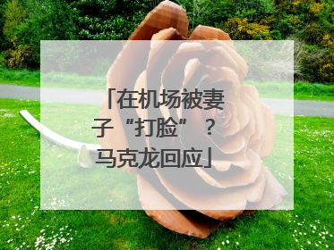 在机场被妻子“打脸”？马克龙回应