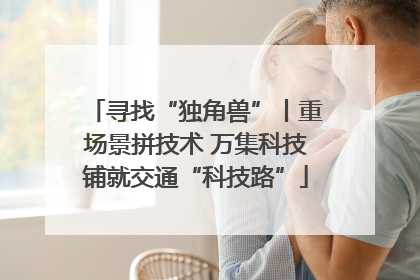寻找“独角兽”丨重场景拼技术 万集科技铺就交通“科技路”