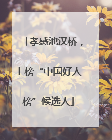 孝感池汉桥，上榜“中国好人榜”候选人