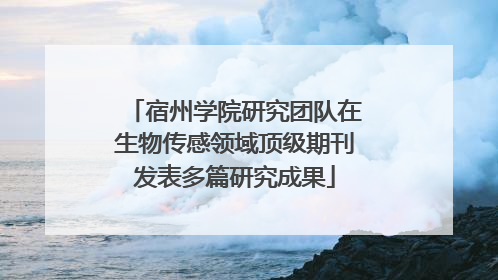 宿州学院研究团队在生物传感领域顶级期刊发表多篇研究成果