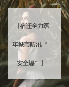 宿迁全力筑牢城市防汛“安全堤”