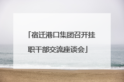 宿迁港口集团召开挂职干部交流座谈会