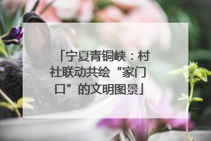 宁夏青铜峡：村社联动共绘“家门口”的文明图景