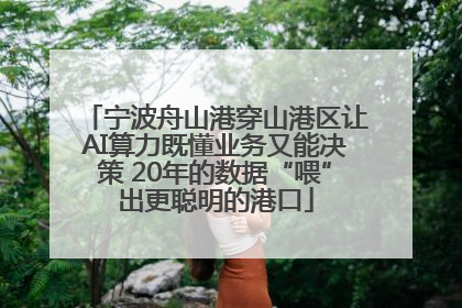 宁波舟山港穿山港区让AI算力既懂业务又能决策 20年的数据“喂”出更聪明的港口