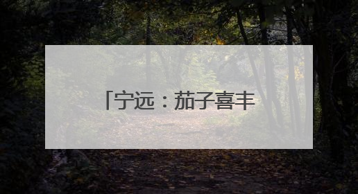 宁远：茄子喜丰收 产业促振兴