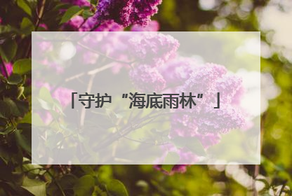 守护“海底雨林”