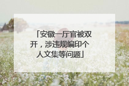 安徽一厅官被双开，涉违规编印个人文集等问题