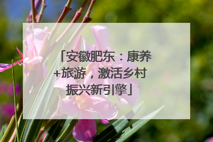 安徽肥东：康养+旅游，激活乡村振兴新引擎