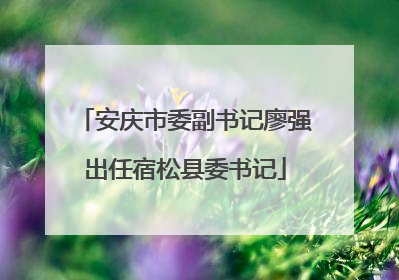 安庆市委副书记廖强出任宿松县委书记