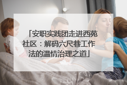 安职实践团走进西苑社区：解码六尺巷工作法的温情治理之道
