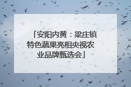 安阳内黄：梁庄镇特色蔬果亮相央视农业品牌甄选会