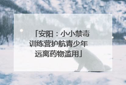 安阳：小小禁毒训练营护航青少年远离药物滥用