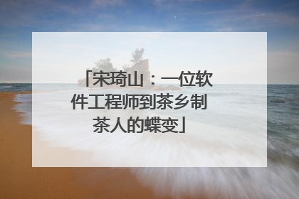 宋琦山：一位软件工程师到茶乡制茶人的蝶变