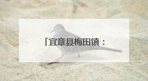 宜章县梅田镇：灵芝朵朵开 撑开“致富花”