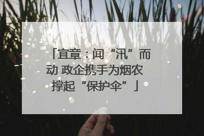 宜章：闻“汛”而动 政企携手为烟农撑起“保护伞”