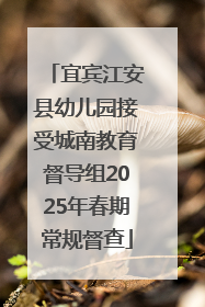 宜宾江安县幼儿园接受城南教育督导组2025年春期常规督查